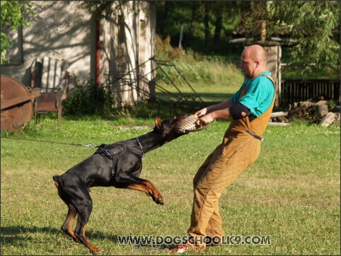 Pako Daker - training